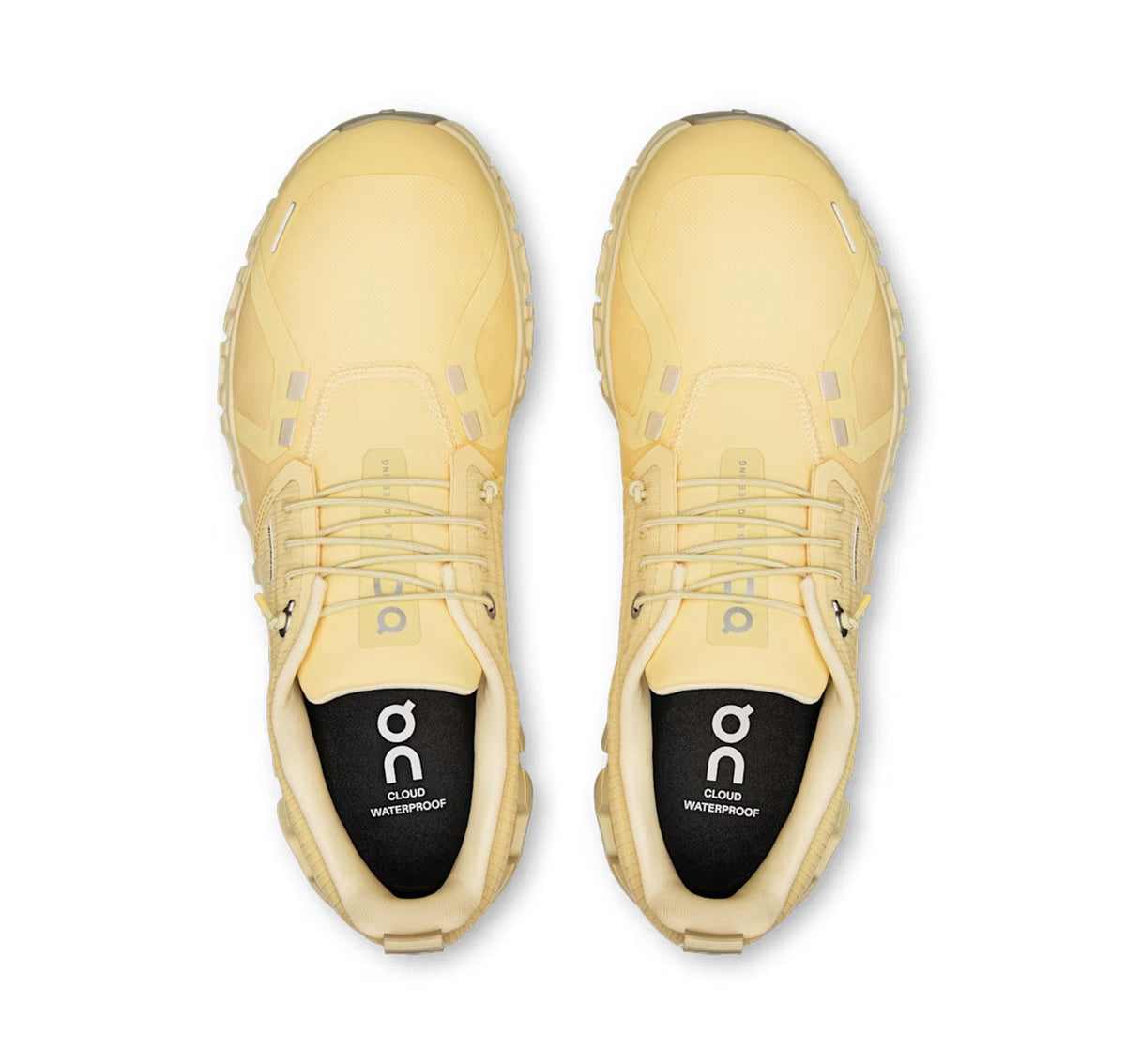 ON Womens Cloud 6 Waterproof Nectar/Castor